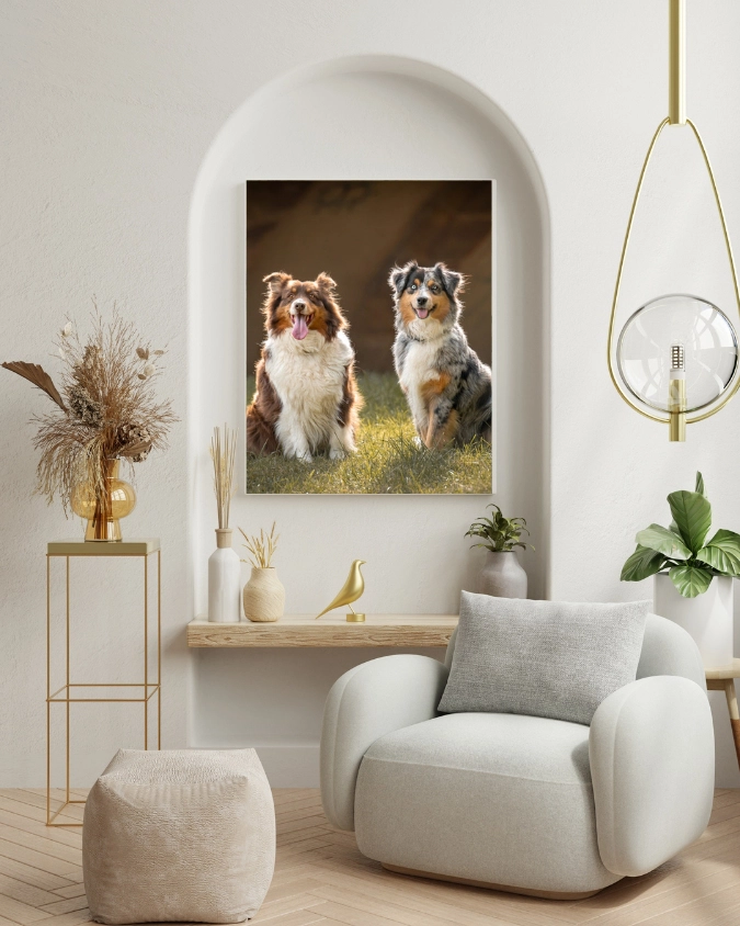 impression cadre chien chat
