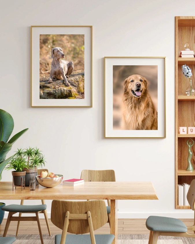 Impression poster chien chat