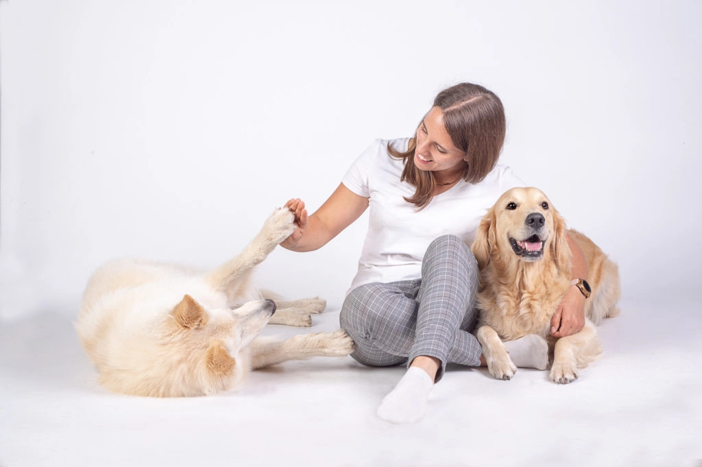 photo des chiens avec une femme à pont-à-mousson